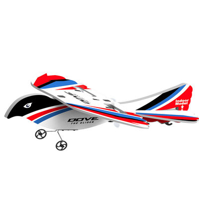 Tempo di ricarica 40 minuti 2.4g 2ch Bird Epp Foam W Flashing Led Light Material resistente alla caduta Flying Rc Flight Glider Avione da 8 a 13 anni