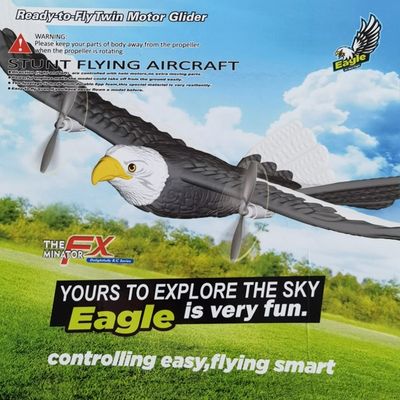 405mm Simulation Wingspan Flying Eagle Aircraft 2.4g Piano di controllo radio per il divertimento